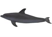 Figurki dla dzieci - Animal Planet Figurka Delfin butlonosy - miniaturka - grafika 1