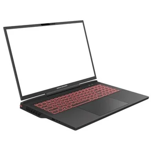 Dream Machines RX4080-17PL275 17.3" 240Hz i9-13900HX 16GB RAM 1TB SSD GeForce RTX4080 - Laptopy - miniaturka - grafika 1