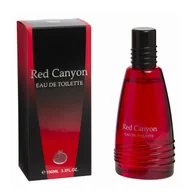Wody i perfumy męskie - TEMU Parfum Męski Real CANYON 100ML - miniaturka - grafika 1