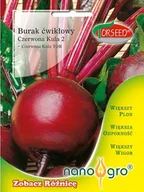 Nasiona i cebule - Nasiona Burak ćwikłowy Czerwona Kula 2 NANO- Torseed - miniaturka - grafika 1