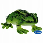 Maskotki i pluszaki - Pluszowe ZOO Maskotka Żaba, żabka zielona 28cm (32560) - miniaturka - grafika 1