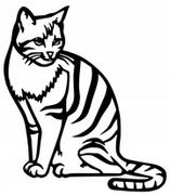 Obrazy i zdjęcia na płótnie - Obraz Ażurowy 3D Dekoracja Ścienna Kot Kotek J181 - miniaturka - grafika 1