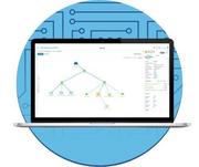 Firewalle - licencje - Cisco Meraki LS-CBD-50-1Y - miniaturka - grafika 1