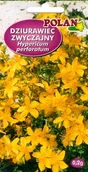 Nasiona i cebule - NASIONA Dziurawiec Zwyczajny 0,2g POLAN 114554 - miniaturka - grafika 1