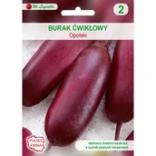 Nasiona i cebule - Burak ćwikłowy Opolski cylindryczny W.Legutko - miniaturka - grafika 1
