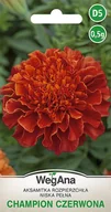 Nasiona i cebule - Aksamitka Rozpierzchła Champion czerwona 1g nasiona - WegAna - miniaturka - grafika 1
