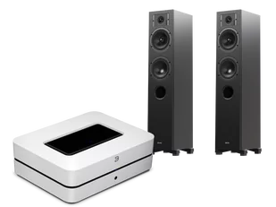 Bluesound POWERNODE (biały) + Diva 5 (czarny) - Zestawy stereo - miniaturka - grafika 1