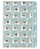 Szkolne artykuły papiernicze - Peter Pauper Notatnik Midi Smok Press - miniaturka - grafika 1