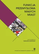 Zarządzanie - Uniwersytet Łódzki Funkcja przemysłowa małych miast - miniaturka - grafika 1