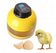 Witaminy i odżywki dla ptaków - Inkubator Jaj Półautomatyczny 10 Jajek Perfectlife - miniaturka - grafika 1