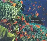 Najpiękniejsze Miejsca do Nurkowania Na Świecie - Przewodniki - miniaturka - grafika 1