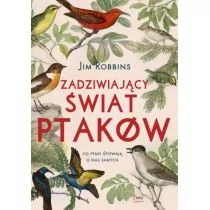 Zadziwiający świat ptaków