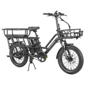 Rowery elektryczne - Fafrees FF20 CUV Electric Cargo Bike 250W Motor 2*48V 12Ah Battery 20*3 inch Tires 25km/h Max Speed 140km Range Front - miniaturka - grafika 1