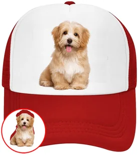 CZAPKA Z DASZKIEM PSY PIES PIESKI DLA DZIECI SIATKA CZERWONA BEJSBOLÓWKA - Czapki i chusty sportowe męskie CZAPKA Z DASZKIEM PSY PIES PIESKI DLA DZIECI SIATKA CZERWONA BEJSBOLÓWKA - Czapki i chusty sportowe męskie - miniaturka - grafika 1