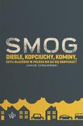 Felietony i reportaże - SMOG. Diesle, kopciuchy, kominy, czyli dlaczego w Polsce nie da się oddychać$306 - miniaturka - grafika 1