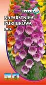 Nasiona i cebule - Naparstnica purpurowa mix 0,5g / L / - miniaturka - grafika 1