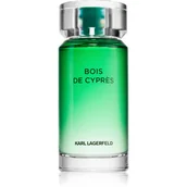 Wody i perfumy męskie - Karl Lagerfeld Les Matières Base Bois de Cyprès Woda toaletowa 100 ml - miniaturka - grafika 1
