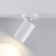 Lampy sufitowe - Deko-Light Reflektor sufitowy CAN TILT, biały, Ø 8 cm, 1-punktowa, metal, GU10 możliwość ściemniania, biały / opal, salon / jadalnia, aluminium - miniaturka - grafika 1