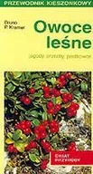 Poradniki hobbystyczne - Owoce leśne - miniaturka - grafika 1