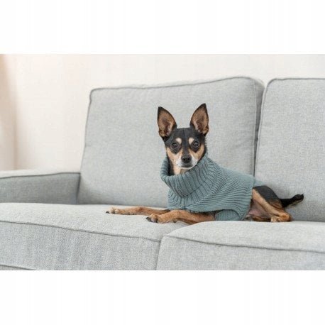 Sweter dla Psa Trixie Kolor Zielony L