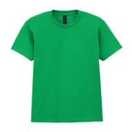 Odzież sportowa dziecięca - Koszulka Dziecięca/dziecięca Softstyle Midweight T-shirt - miniaturka - grafika 1