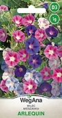 Nasiona i cebule - Wilec Arlequin nasiona 1g - WegAna - miniaturka - grafika 1