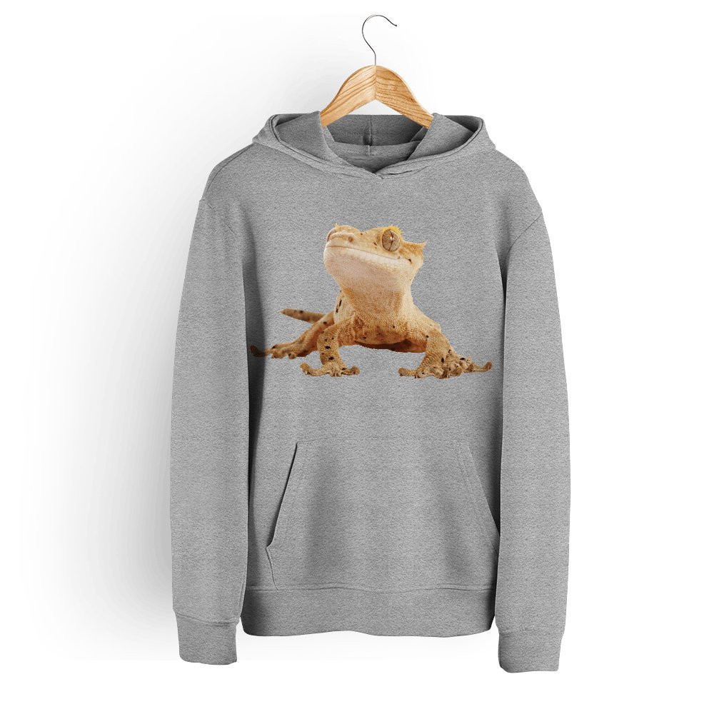 Bluza dziecięca z kapturem agama brodata 128 5made