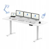 Biurka - Flexispot Standing Desk 200x80  - miniaturka - grafika 1