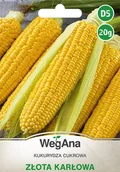 Nasiona i cebule - Kukurydza cukrowa Złota Karłowa 20g nasiona - WegAna - miniaturka - grafika 1