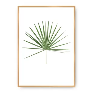Dekoria Dekoria Plakat Tropical Leaf Green 50 x 70 cm Ramka Złota 222H-000-14 - Plakaty - miniaturka - grafika 1