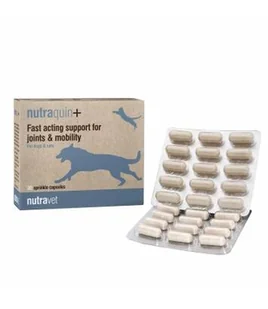 NUTRAVET Nutraquin Plus For Dogs & Cats 30kaps- zapewnia szybkie wsparcie dla zwierząt cierpiących na sztywność stawów. - Suplementy i witaminy dla psów - miniaturka - grafika 1