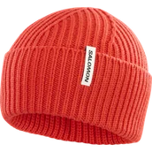 Czapki męskie - CZAPKA SALOMON SNOWBIRD C23296 - miniaturka - grafika 1