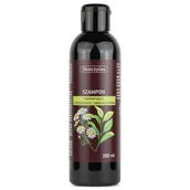 Szampony do włosów - Skoczylas, szampon regenerujący z rumiankiem i zieloną herbatą, 200 ml - miniaturka - grafika 1