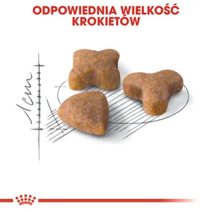 ROYAL CANIN  Sensible 33 2kg + niespodzianka dla kota GRATIS! - Sucha karma dla kotów - miniaturka - grafika 6