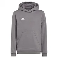 Bluzy dla dziewczynek - adidas Ent22 Hoody Y Bluza dziecięca - miniaturka - grafika 1
