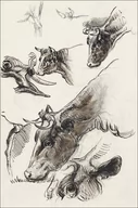 Plakaty - Galeria Plakatu, Plakat, Sketches of Cattle, Irvington, Samuel Colman, 42x59,4 cm - miniaturka - grafika 1