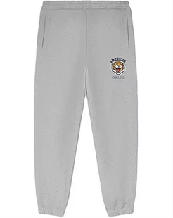 AMERICAN COLLEGE USA Spodnie dresowe męskie, Szary, L - Spodnie sportowe męskie - miniaturka - grafika 1