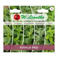 Nasiona i cebule - Legutko Mięta kolekcja nasion tradycyjnych - miniaturka - grafika 1