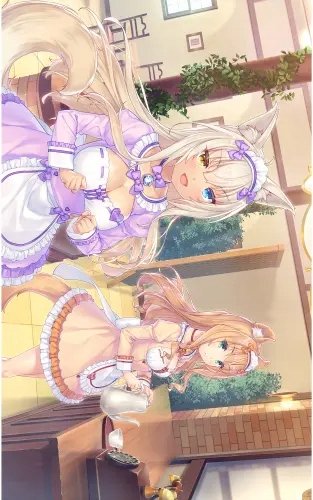 Plakat Anime Manga Nekopara np_086 A2 (custom)