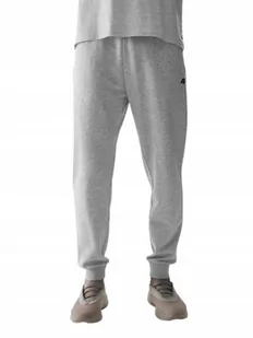 SPODNIE męskie dresowe 4F 4FWSS24TTROM603-27M szare joggery dresy 3XL - Spodnie męskie - miniaturka - grafika 1