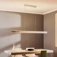 Lampy sufitowe - Paul Neuhaus PURE Pure-Lume lampa wisząca LED aluminium - miniaturka - grafika 1