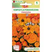 Nasiona i cebule - Kompozycja pomarańczowa W.Legutko - miniaturka - grafika 1