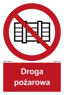 BB001 NIE ZASTAWIAĆ - DROGA POŻAROWA, TS - PŁYTA TD FOTOLUMINESCENCYJNA; (500X740MM) - Systemy ekspozycyjne i znaki informacyjne - miniaturka - grafika 1