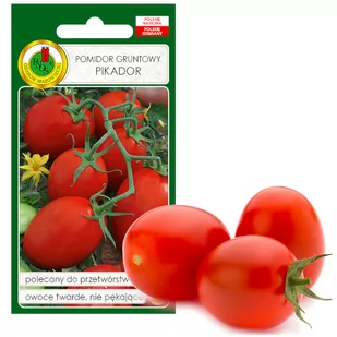 POMIDOR PIKADOR TWARDY NA KETCHUP NASIONA BEZ GMO - Nasiona i cebule - miniaturka - grafika 1
