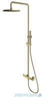 Baterie umywalkowe - Omnires Y zestaw prysznicowy natynkowy mosiądz szczotkowany Y1244MBSB - miniaturka - grafika 1