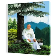 Ikony i obrazy sakralne - Obraz religijny na płótnie Święty Jan Paweł II pod Giewontem - miniaturka - grafika 1