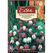 Nasiona i cebule - Szachownica Fritillaria Meleagris 5 sztuk Eden - miniaturka - grafika 1