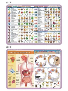 PASO Podkładka edukacyjna Pasożyty człowieka układ pokarmowy witaminy mikro makroelementy VISU003 - Podkładki na biurko - miniaturka - grafika 1