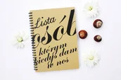Notesy i bloczki - Lista osób, którym kiedyś dam w nos, notatnik, notes, Sowia Aleja - miniaturka - grafika 1