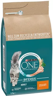 Purina ONE Adult, kurczak ze zbożem pełnoziarnistym - 5,7 kg - Sucha karma dla kotów - miniaturka - grafika 1